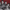 Top Celebrity Management Company in India 2026